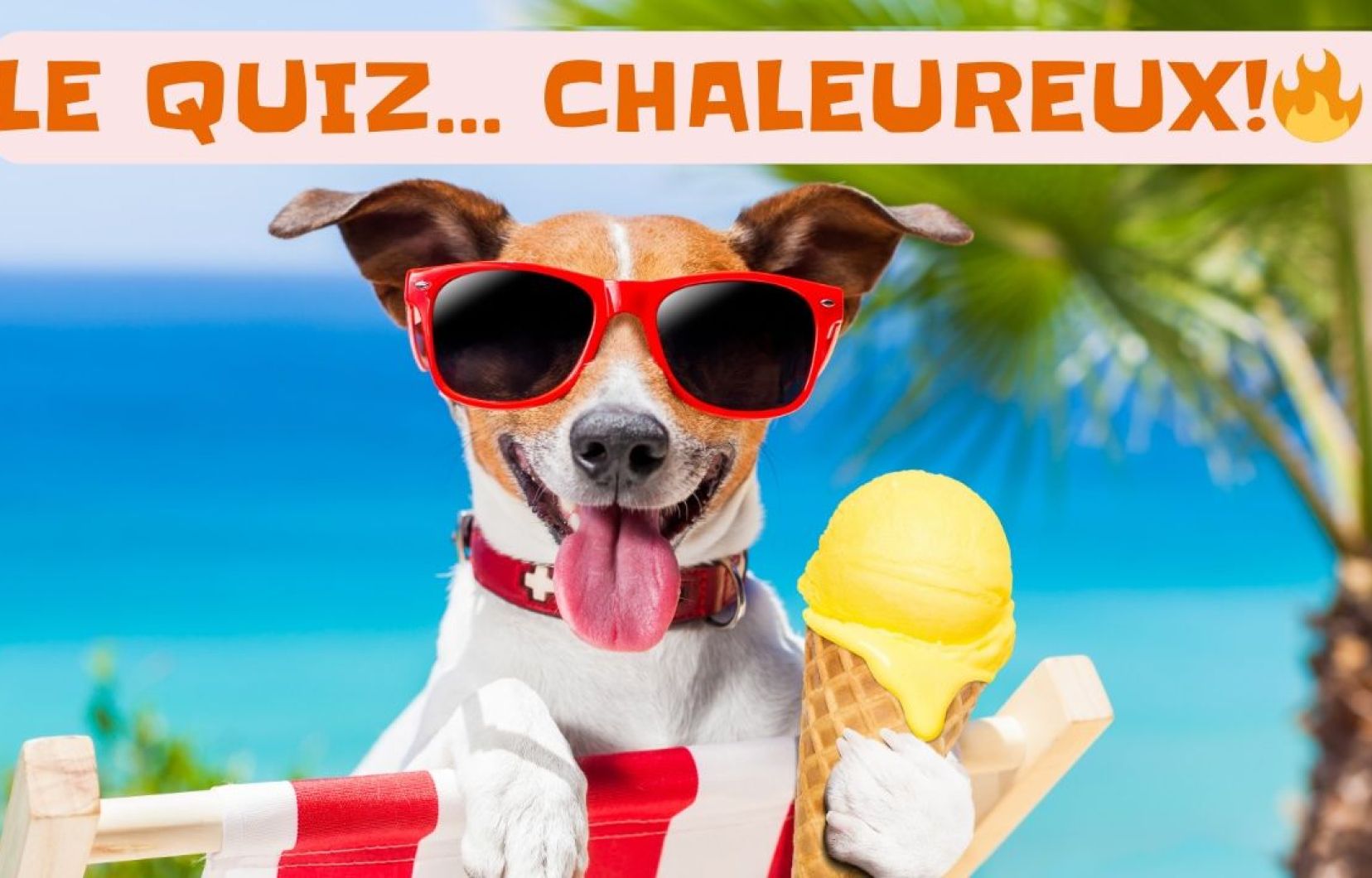 A quiz that warms you!