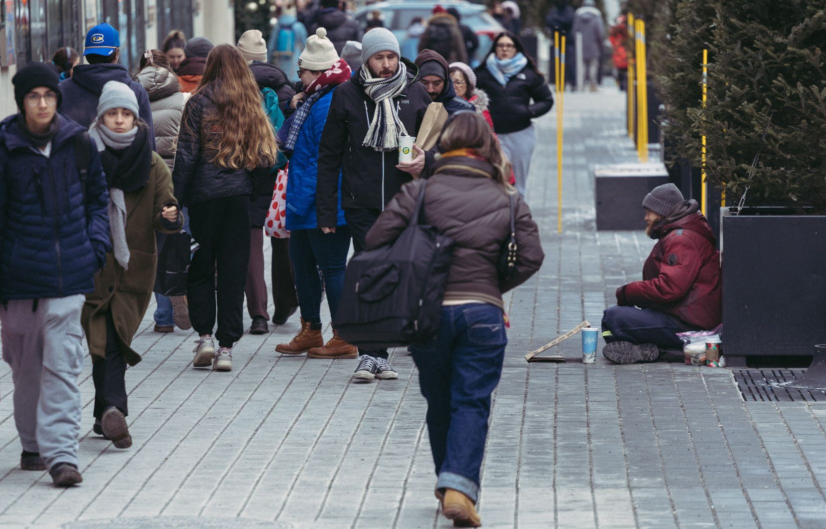 In the face of the oligarchy, the democracy of the crowds