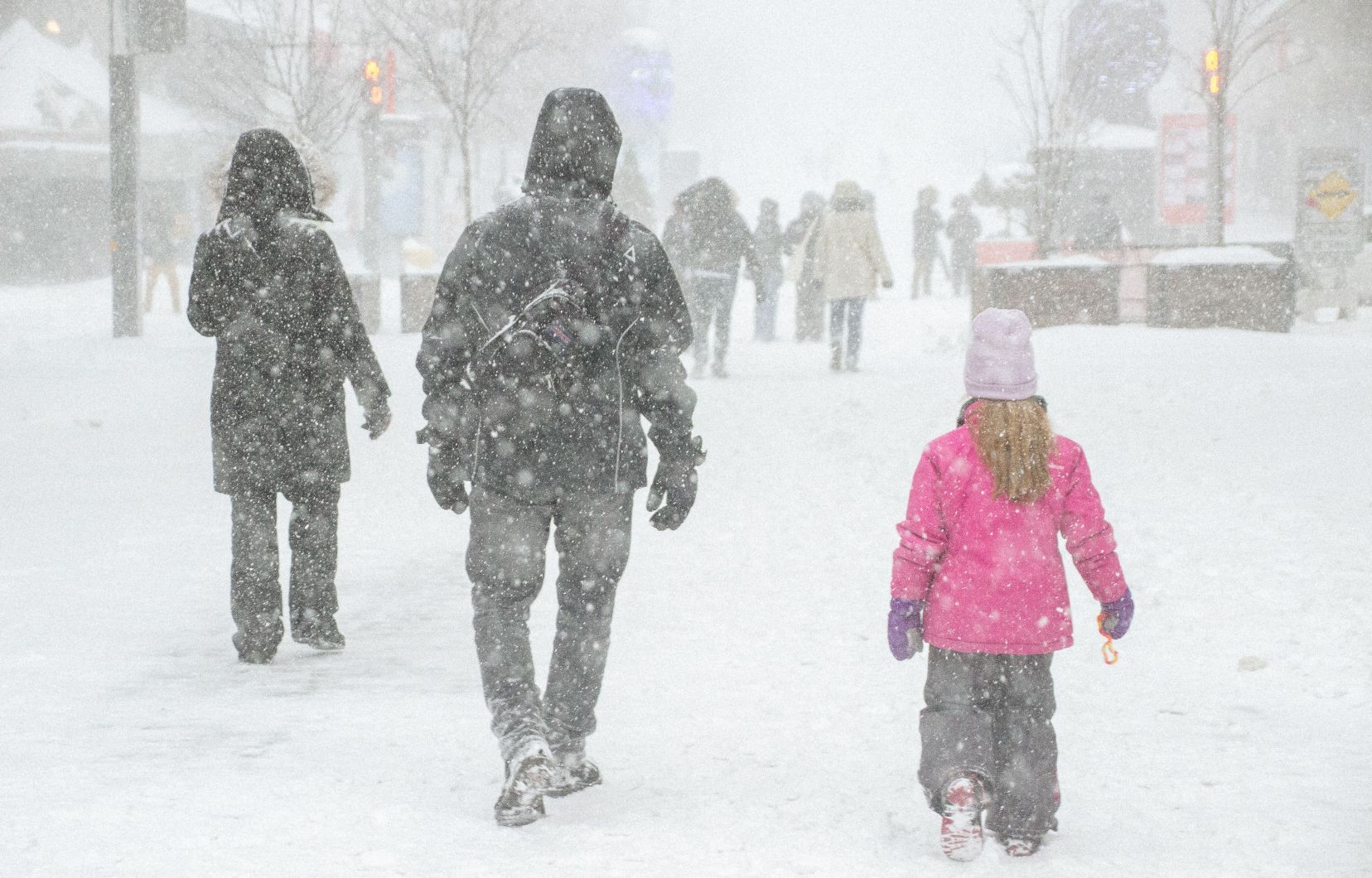 The inconvenience of cars and wheels that Montreal pedestrians suffered
